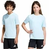 adidas Entrada 26 Jersey vaikiški marškinėliai mėlyna KE9844
