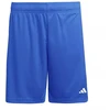 adidas Entrada 26 JZ2520 šortai