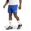 adidas Entrada 26 JZ2520 šortai