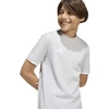 adidas Entrada 26 marškinėliai vaikams pilki JZ6672