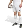 adidas Entrada 26 šortai JZ2516