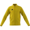 adidas Entrada 26 Track geltonas vaikiškas džemperis JZ6609