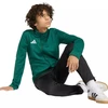 adidas Entrada 26 Track žalias vaikiškas džemperis KE9837