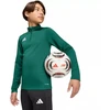 adidas Entrada 26 treniruočių bliuzonas, žalias, vaikams KE9825