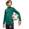 adidas Entrada 26 treniruočių bliuzonas, žalias, vaikams KE9825