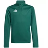 adidas Entrada 26 treniruočių bliuzonas, žalias, vaikams KE9825