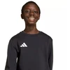 adidas Entrada 26 vaikiškas džemperis juodas JZ6554