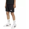 adidas ENTRADA 26 Vaikiški sportiniai šortai KF5927