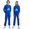 adidas Essentials 280 Mėlynos Vaikiškos Kelnės JV9916