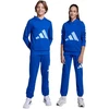 adidas Essentials 280 Mėlynos Vaikiškos Kelnės JV9916