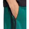 adidas Essentials 3-Stripes Chelsea šortai M JW1910