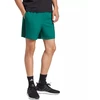 adidas Essentials 3-Stripes Chelsea šortai M JW1910