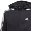 Adidas Essentials 3S Džemperis su gobtuvu ir užtrauktuku Jr GQ8900