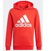 Adidas Essentials Big Logo Hoodie Jr GN4037 džemperis