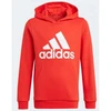 Adidas Essentials Big Logo Hoodie Jr GN4037 džemperis