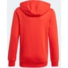 Adidas Essentials Big Logo Hoodie Jr GN4037 džemperis