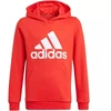 Adidas Essentials Big Logo Hoodie Jr GN4037 džemperis