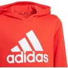 Adidas Essentials Big Logo Hoodie Jr GN4037 džemperis