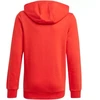 Adidas Essentials Big Logo Hoodie Jr GN4037 džemperis