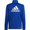 adidas Essentials Big Logo sportinis kostiumas jaunuoliams HR6408