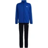 adidas Essentials Big Logo sportinis kostiumas jaunuoliams HR6408