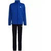 adidas Essentials Big Logo sportinis kostiumas jaunuoliams HR6408
