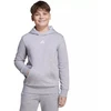 adidas Essentials bliuzonas su gobtuvu vaikams, pilkas JV9995