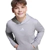 adidas Essentials bliuzonas su gobtuvu vaikams, pilkas JV9995