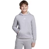 adidas Essentials bliuzonas su gobtuvu vaikams, pilkas JV9995