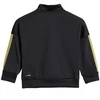 adidas Essentials Climacool Vaikų sportinis kostiumas Juodas ir auksas JC8857