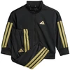 adidas Essentials Climacool Vaikų sportinis kostiumas Juodas ir auksas JC8857