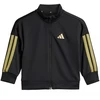 adidas Essentials Climacool Vaikų sportinis kostiumas Juodas ir auksas JC8857
