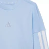 Adidas Essentials Džogeriai Mėlynas vaikiškas treningas JD6483
