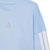 Adidas Essentials Džogeriai Mėlynas vaikiškas treningas JD6483