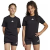 Adidas Essentials Vaikiški Marškinėliai JC9776