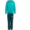 Adidas Essentials žalias vaikams sportinis kostiumas JN2427