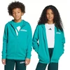 Adidas Essentials žalias vaikams sportinis kostiumas JN2427