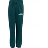Adidas Essentials žalias vaikams sportinis kostiumas JN2427