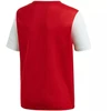 adidas Estro 19 JSY M DP3230 futbolo marškinėliai