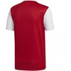 adidas Estro 19 JSY M DP3230 futbolo marškinėliai