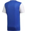 adidas Estro 19 JSY M DP3231 futbolo marškinėliai