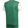 adidas Estro 19 JSY M DP3238 futbolo marškinėliai