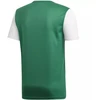 adidas Estro 19 JSY M DP3238 futbolo marškinėliai