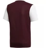 adidas Estro 19 JSY M DP3239 futbolo marškinėliai