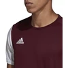adidas Estro 19 JSY M DP3239 futbolo marškinėliai
