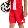 adidas FC Bayern 25/26 Namų raudonas JN8510 vaikiškas sportinis komplektas