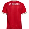 adidas FC Bayern 26/27 namų marškinėliai, raudoni, JZ3098