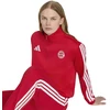 adidas FC Bayern DNA sportinis džemperis KG2569