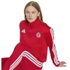 adidas FC Bayern DNA sportinis džemperis KG2569