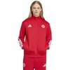 adidas FC Bayern DNA sportinis džemperis KG2569